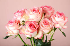 粉色背景的美丽玫瑰花束，特写
