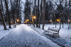 冬夜公园，有灯笼、长椅和被雪覆盖的树木。景观.