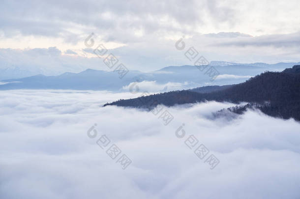 云中群山美丽的虚幻全景.低云，从<strong>观景台俯瞰</strong>冬季森林和高山，横向描绘惊人的自然现象.