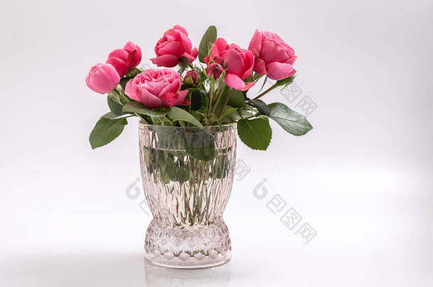 粉红玫瑰花的布置.白色背景的节庆花束构图。生日，母亲节，情人节，妇女，结婚日的概念。复制空间