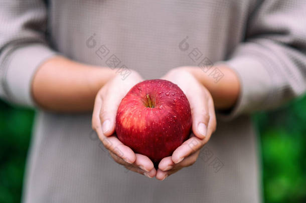 一个手里拿着新鲜红苹果的女人