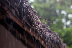 芦苇屋顶上的热带雨滴