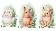 把可爱的兔子放在草地上，用水彩明信片，毛绒绒的兔子，贺卡
