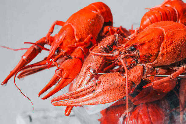 热的美味的螃蟹与一个盘子在乡村背景。美味的红色煮熟的小龙虾放在桌上，特写。条幅设计
