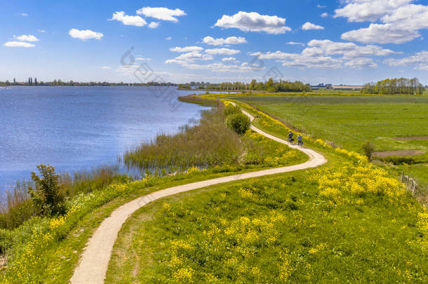 春天空中布恩茨瓦格附近的杜奇河场景。堤坝上的自行车道，带黄色花朵的弯弯曲曲的路基。荷兰弗里斯兰.