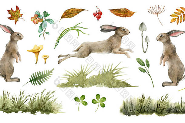 兔子动物的自然规律。水彩画。可爱的兔子站在白色的背景上跳跃.兔子，草，叶子，蘑菇收集。自然手绘元件集.毛茸茸的兔子侧视图