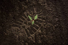 地面上的脚印、土壤上的脚印、生长在黑土上的绿色植物芽、地球日概念、自然保护和养护、濒危植物、森林