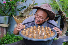 园艺师播下榴莲种子,是东南亚著名的水果.一股浓郁的水果味，不是每个人都能闻到的.