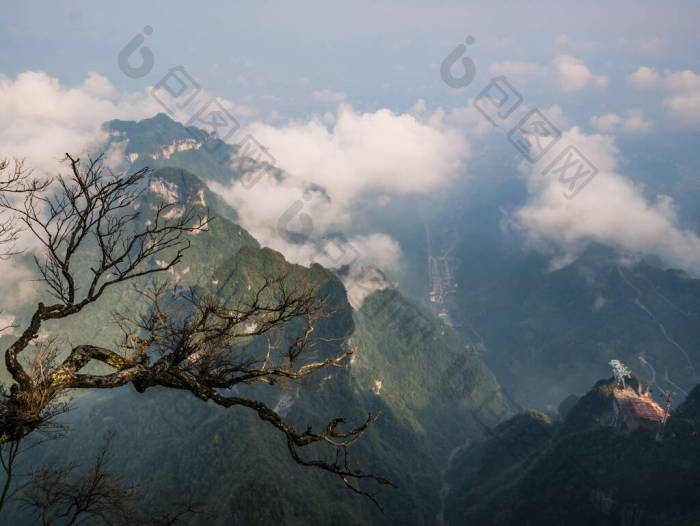 张家界国家公园天门山的蜿蜒道路图片-包图网企业站