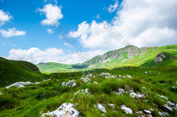 黑山杜尔米托尔地块山谷草地上的石块