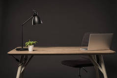 在灰色背景下, 将台灯、植物、书和笔记本电脑的椅子和桌子合上视图