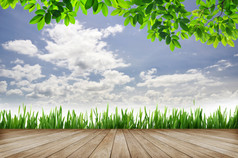 木制平台和绿草与蓝天背景
