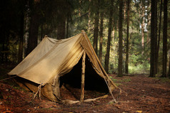 秋天森林里的旧帐篷，冒险和旅行的家