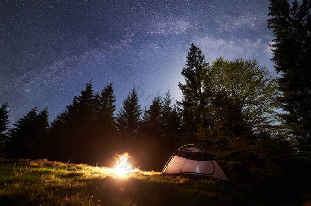 晚上露营在山上。旅游帐篷由明亮的燃烧篝火附近的森林在清澈的深<strong>蓝色星空</strong>, 银河。背景高的松树。自然美与旅游理念.