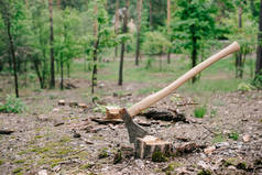 锋利,沉重的斧子木柄在森林的木树桩