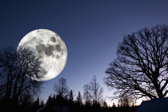巨型超现实满月在黑暗的森林