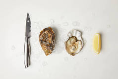 用柠檬和小刀在白色桌上加冰块的牡蛎