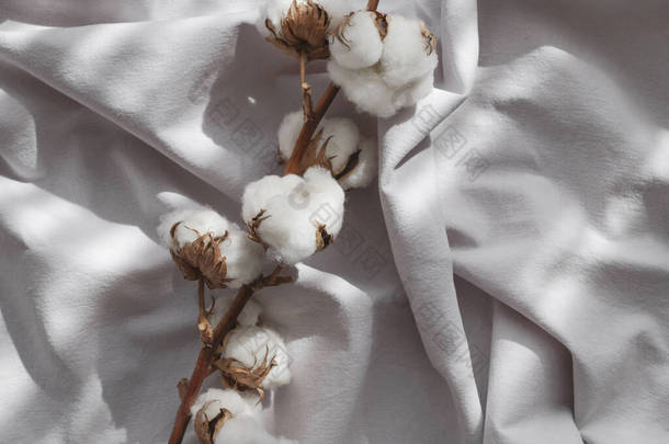 漂亮的棉枝上的灰色面料顶视图复制<strong>空间</strong>.天然棉织物<strong>质感</strong>.精致的白色棉花平躺在地上.浅色棉质背景.生态纺织品。织物生产.