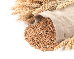 小麦在一个麻袋和孤立的白色背景上的耳朵