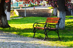 城市公园的长椅。春天美丽的自然风光。林间小径
