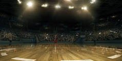 职业篮球场与篮球圈在3D。论坛与体育迷