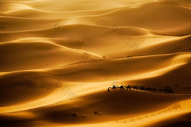 骆驼商队经历沙丘