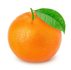 橘叶在白色背景上孤立