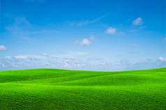 绿草丘陵景观与蓝天夏日.