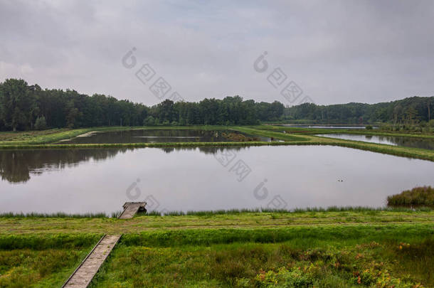 2021年8月11日：Domein Bokrijk 。绿树成荫,绿树成荫,绿树成荫,绿树成荫,绿树成荫.地平线上的绿林带.