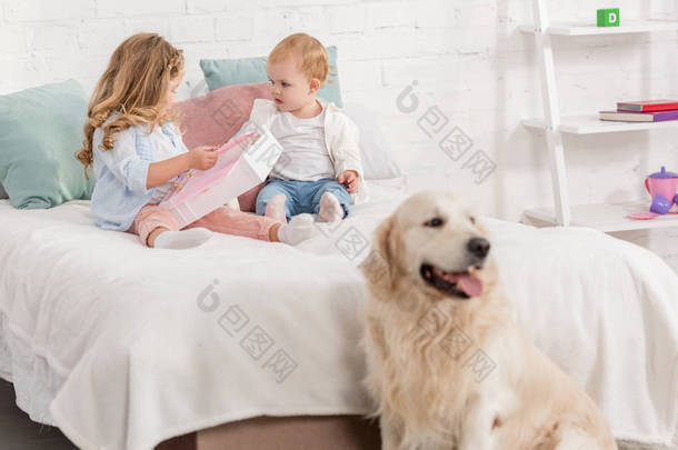 可爱的孩子在床上玩耍, 金毛猎狗坐在儿童房的床上附近