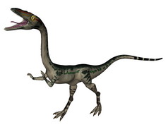 Coelophysis 恐龙-3d 渲染