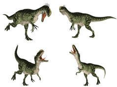 monolophosaurus 包