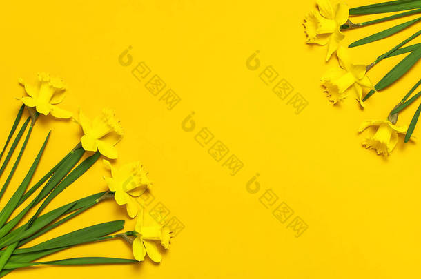 春天花背景。黄色水仙花或水仙花在黄色背景顶视图平放置。复活节概念, <strong>国际妇女节</strong>, 3月8日, 节日。带鲜花的卡片。文本的位置