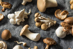 生有机美食蘑菇分类