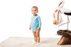 可爱的幼儿男孩在蓝色的紧身衣站在地毯附近的大装饰鹤在鸟巢隔离在白色