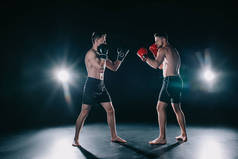 强壮的肌肉拳击手在拳击手套的立场看着对方
