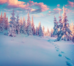 喀尔巴阡山脉的冬天.