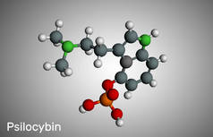 西洛西宾生物碱分子。这是自然迷幻的药