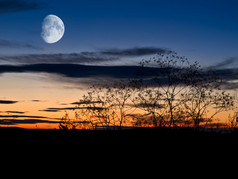 夜景背景