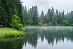 Vrbicke 萨格勒布, Demanovska dolina, 森林湖泊水面上的树木反射。雨天和雾的夏天天.