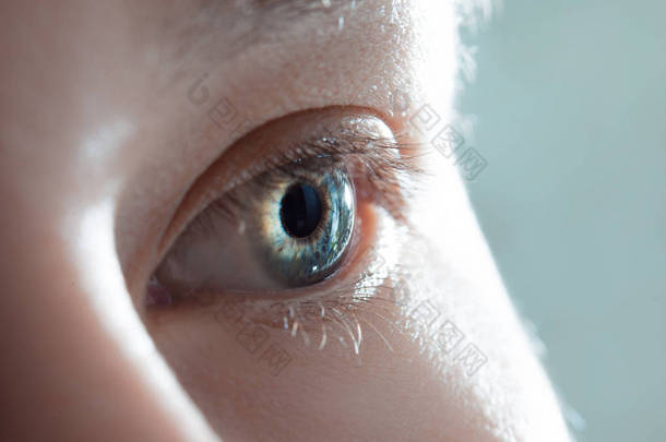人类的眼睛特写。蓝色女性眼睛的宏观相片.