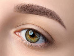 近距离观看美丽的绿色女性眼睛。完美的新潮眉毛好视力, 隐形眼镜, 眉条或时尚眉妆概念