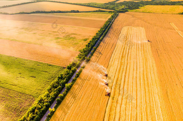 收获小麦。日落时，四个红色联合收割机在田里干活。空中无人驾驶飞机照片