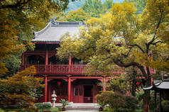 AUG 17, 2011杭州：林阴大树间的红木大殿，僧人进行祈祷和其他宗教活动的圣地.