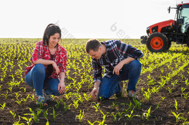 3.年轻农民在春天播种玉米