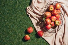 红色苹果在金属篮子在被解雇的布料和绿色草