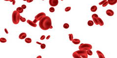 红血细胞流动