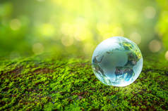 玻璃球概念日地球拯救世界保护环境世界在绿色沼泽背景的草丛中