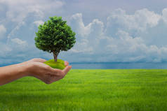 生态地球日的概念：人类手牵着绿色田野和蓝天背景下的大生长植物.
