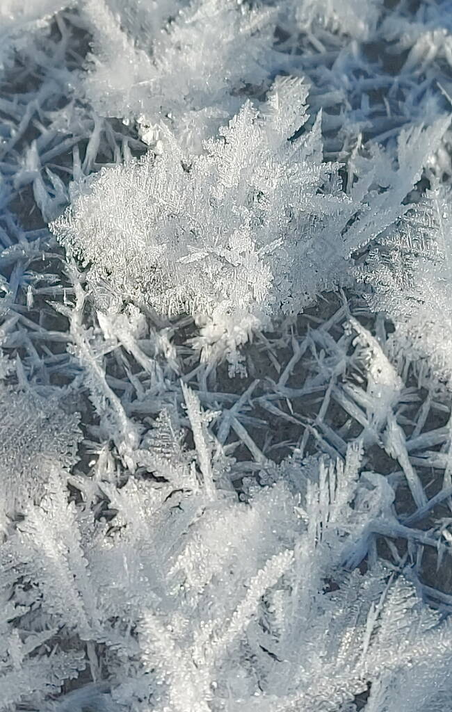 俄罗斯，Kuznetsk Alatau 。针叶林湖冰上没有雪和严重的霜冻形成了美丽的霜冻晶体.